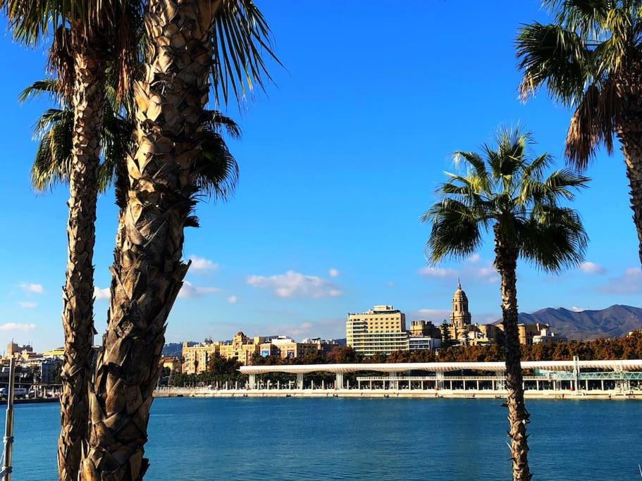 Séjour chez l'habitant Corazon Centro Historico Málaga
